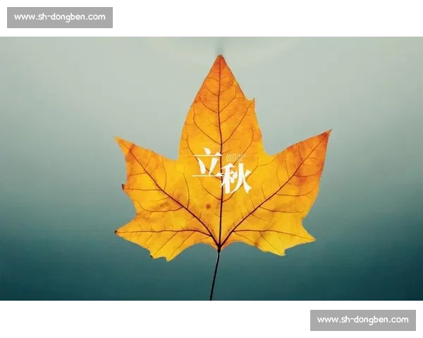 立秋时节万物渐收秋风送爽探寻节气变迁中的农耕智慧与人文情怀