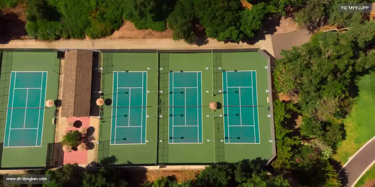 <strong>MK体育</strong>🎾网球挥动的瞬间，精准与力量的碰撞，点燃全场！